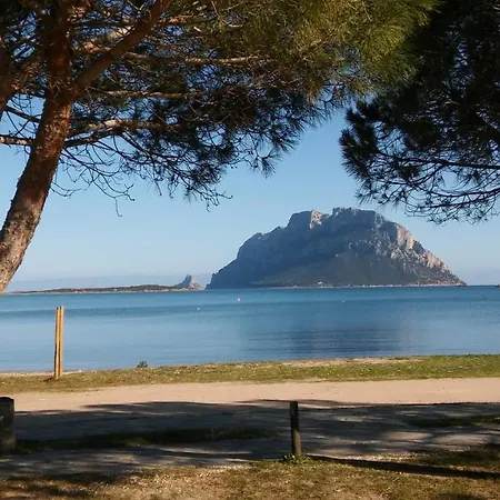 Da Grazia Murta Maria